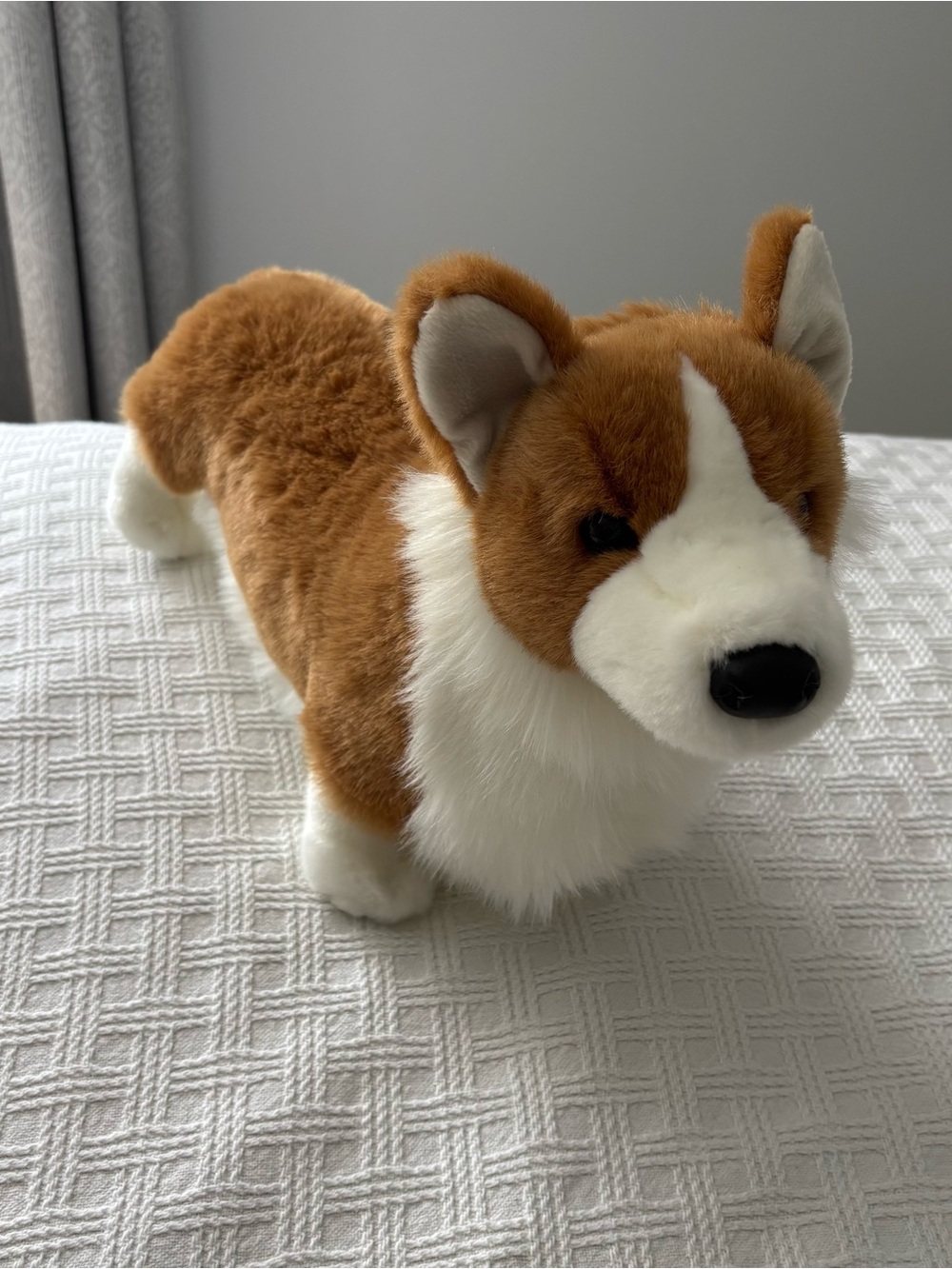 Douglas Chadwick Corgi Plush Stuffed Dog #332 Large 16"